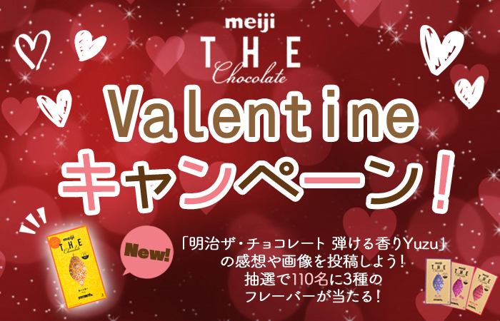 終了 110名にプレゼント 明治ザ チョコレート Valentineキャンペーン 明治 ザ チョコレート La Vida コミュニティサイト