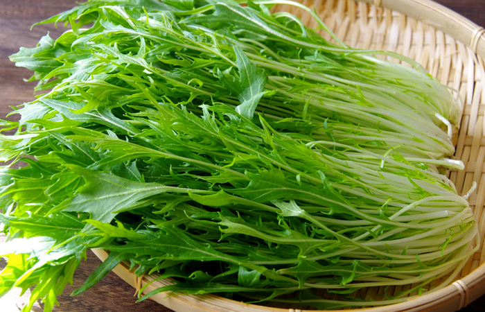 食感がクセになる！ 鍋物でもサラダでもおいしい【水菜】 | キユーピーコミュニティ おはなしダイニング | LA VIDA コミュニティサイト